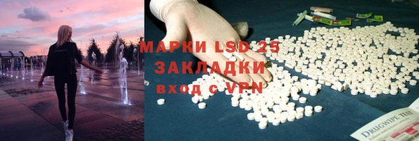 PSILOCYBIN Богданович