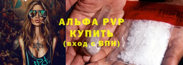 PSILOCYBIN Богданович